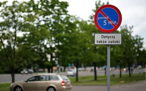 Znak B35 informuje, że postój dłuższy niż 5 minut jest zabroniony, dotyczy także zatoki.