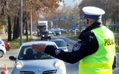 Policjant kieruje ruchem na ulicy. Kierowca zatrzymuje się, bo zgubił prawo jazdy i boi się kontroli.