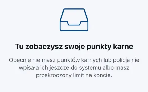 Tu sprawdzisz swoje punkty karne 2025. Brak punktów lub wpis do systemu.