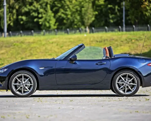 Granatowy roadster z brązowym wnętrzem, zaparkowany na tle zieleni.