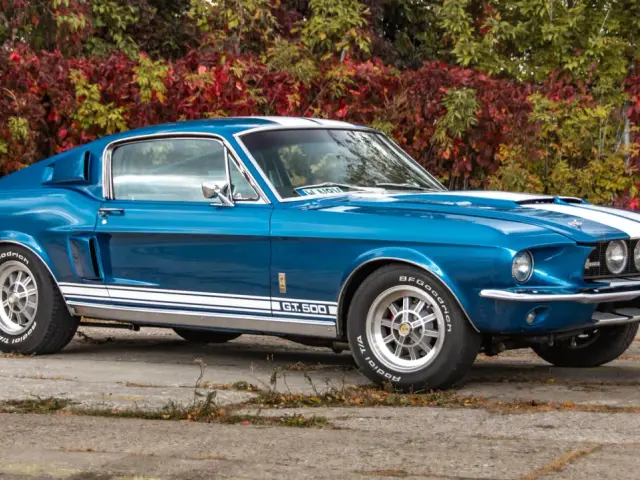 Niebieski Mustang Shelby GT500 z 1967 roku z białymi pasami na masce i dachu, zaparkowany na tle jesiennych liści.